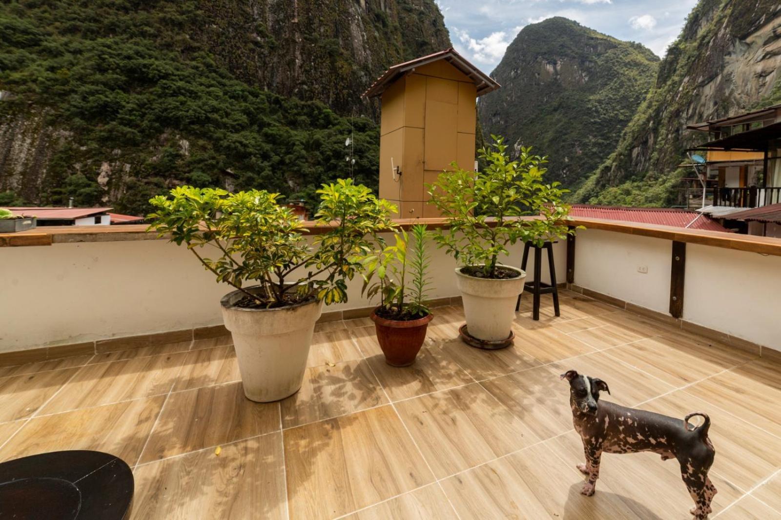 Gringo Bill'S Boutique Hotel Μάτσου Πίτσου Εξωτερικό φωτογραφία